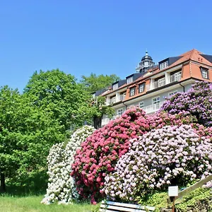 Ferienwohnung Natur Und Kunst Dresden